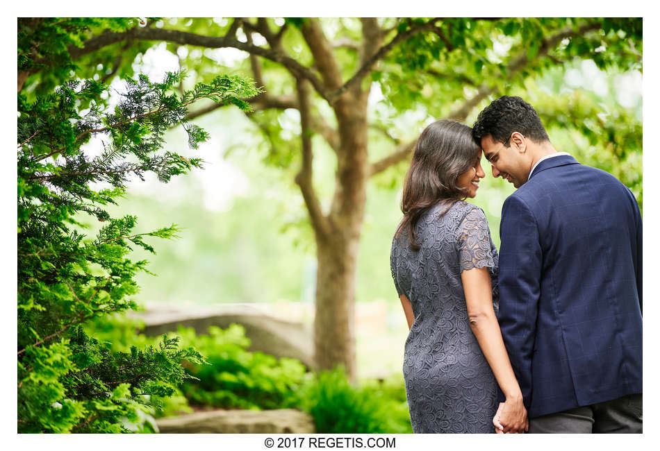  Anita and Pulkit | Engagement Session at Meadowlark Botanical Gardens | Northern Virginia Wedding Photographers