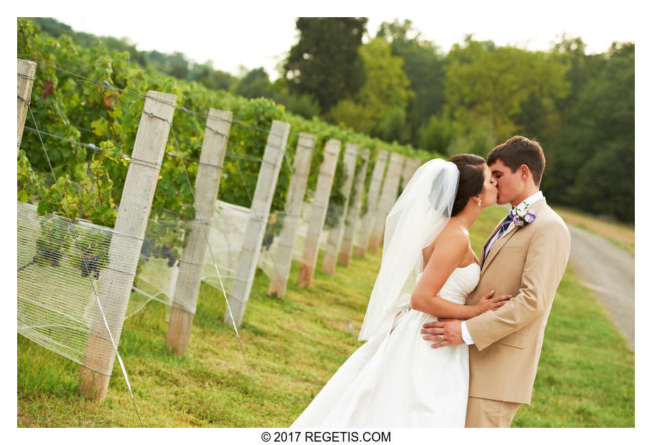  Melissa and Michael Morais Vineyard Wedding Warrenton Photographer