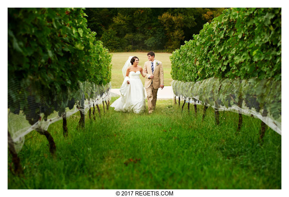  Melissa and Michael Morais Vineyard Wedding Warrenton Photographer