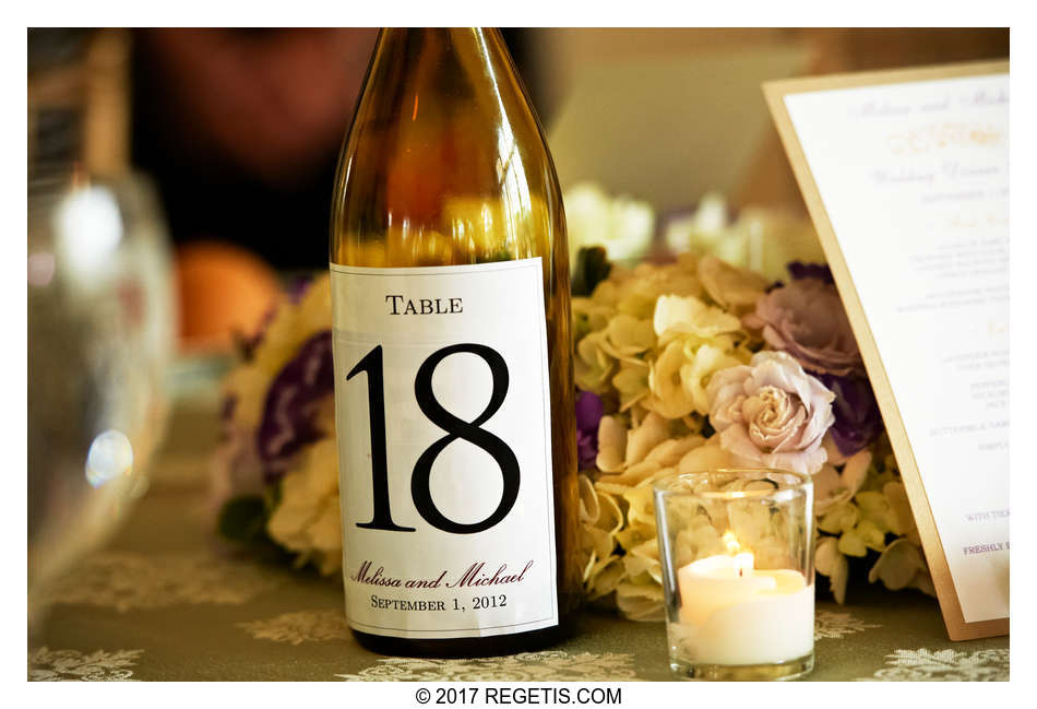  Melissa and Michael Morais Vineyard Wedding Warrenton Photographer