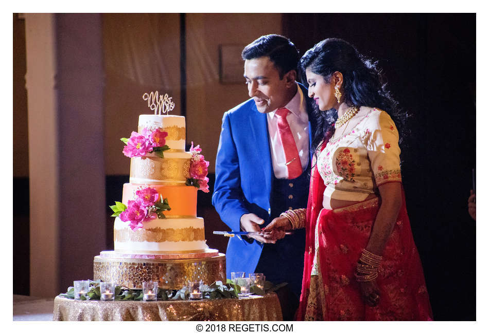  Amani and Anirudh’s South Asian Wedding and Reception | Hindu Wedding Ceremony | Hilton Dulles Hotel | Northern Virginia Wedding Photographers