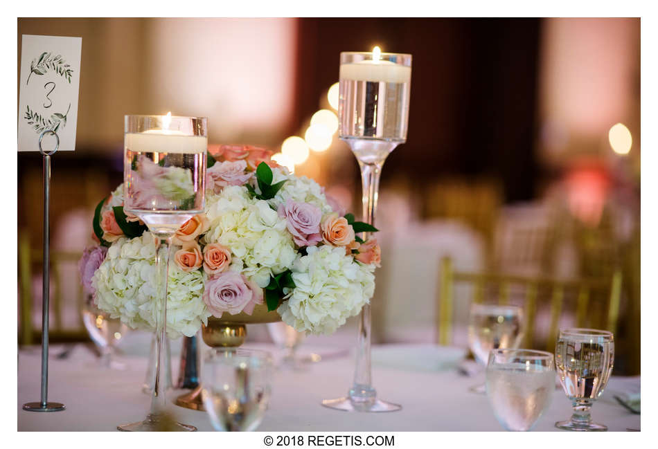  Amani and Anirudh’s South Asian Wedding and Reception | Hindu Wedding Ceremony | Hilton Dulles Hotel | Northern Virginia Wedding Photographers