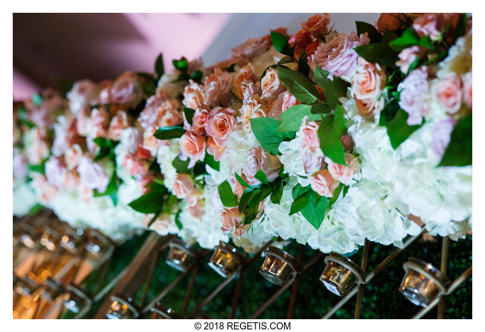  Amani and Anirudh’s South Asian Wedding and Reception | Hindu Wedding Ceremony | Hilton Dulles Hotel | Northern Virginia Wedding Photographers