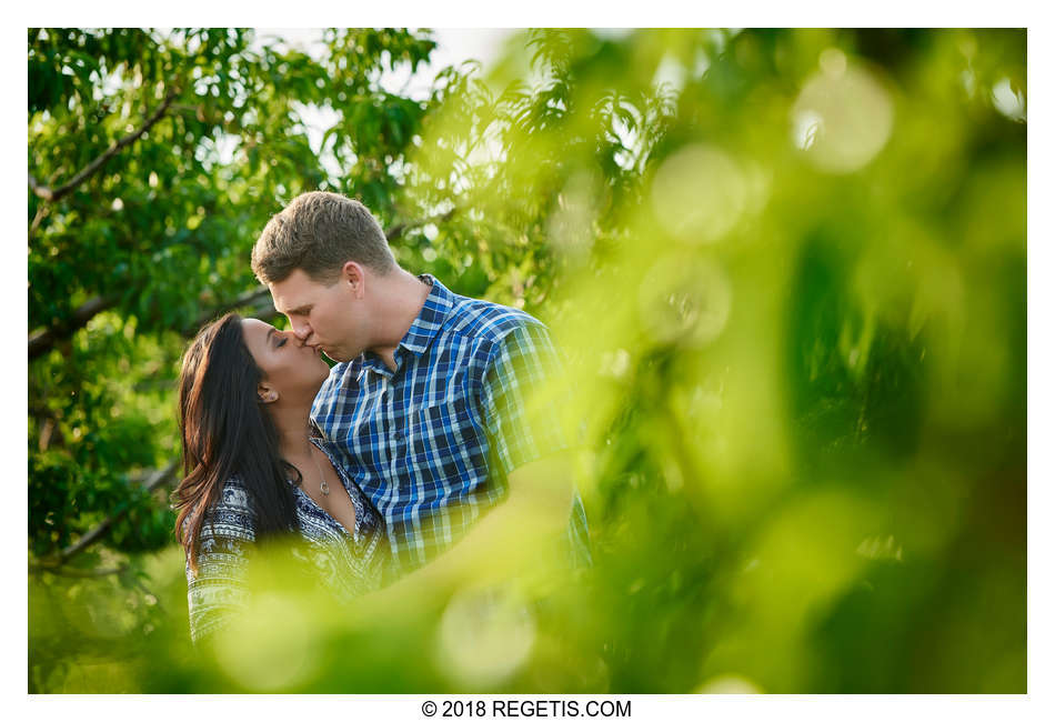  Sameera and Travis engaged! | Markham | Shenandoah Valley | Virginia Wedding Photographers