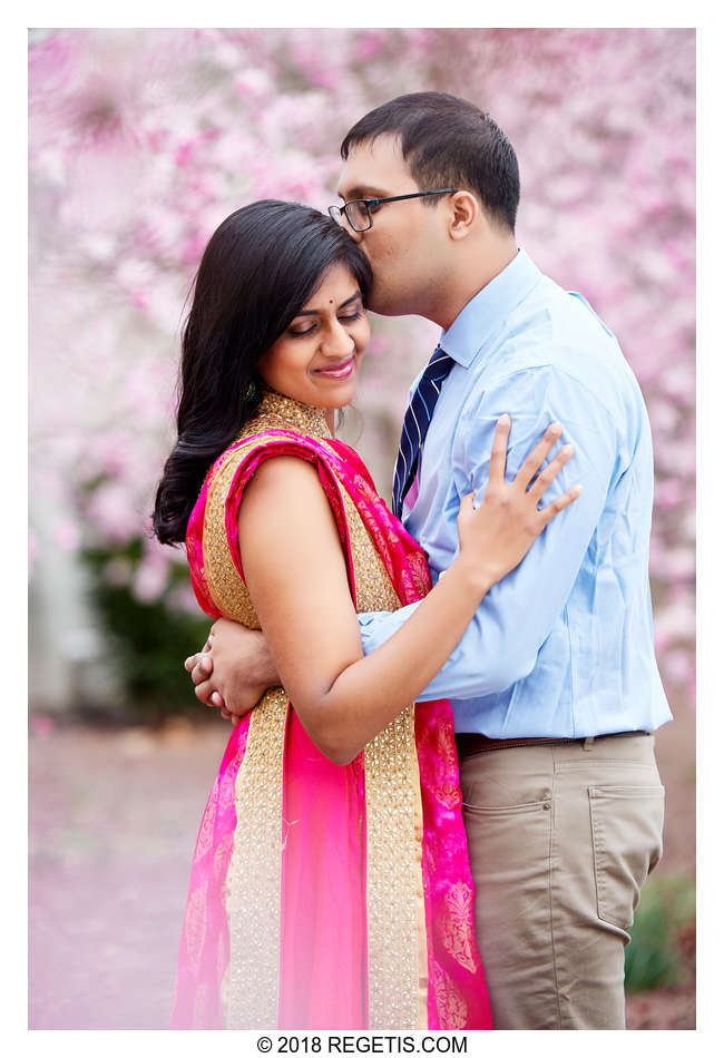  Shilpa and Arhant’s Cherry Blossom Photos | Washington DC Engagement Photographer