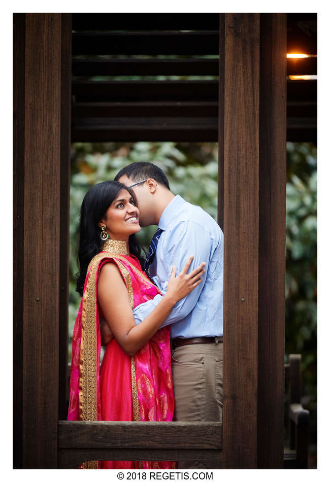  Shilpa and Arhant’s Cherry Blossom Photos | Washington DC Engagement Photographer