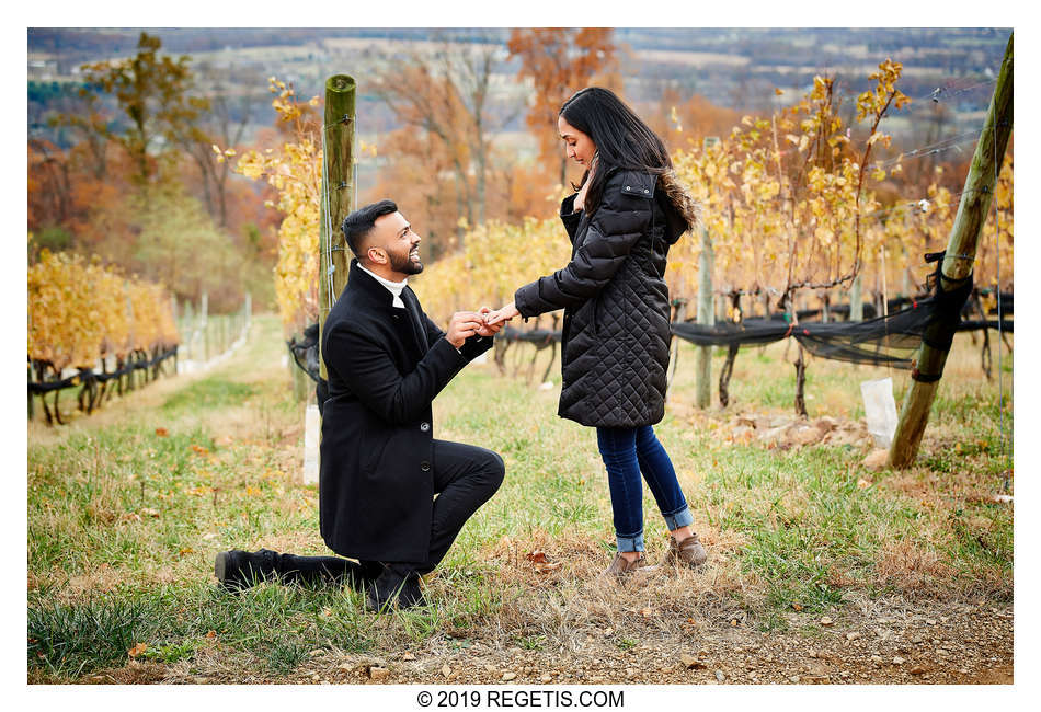  Ami and Parth Engagement Proposal at Bluemont Vineyard, Virginia | Engagement Photographers