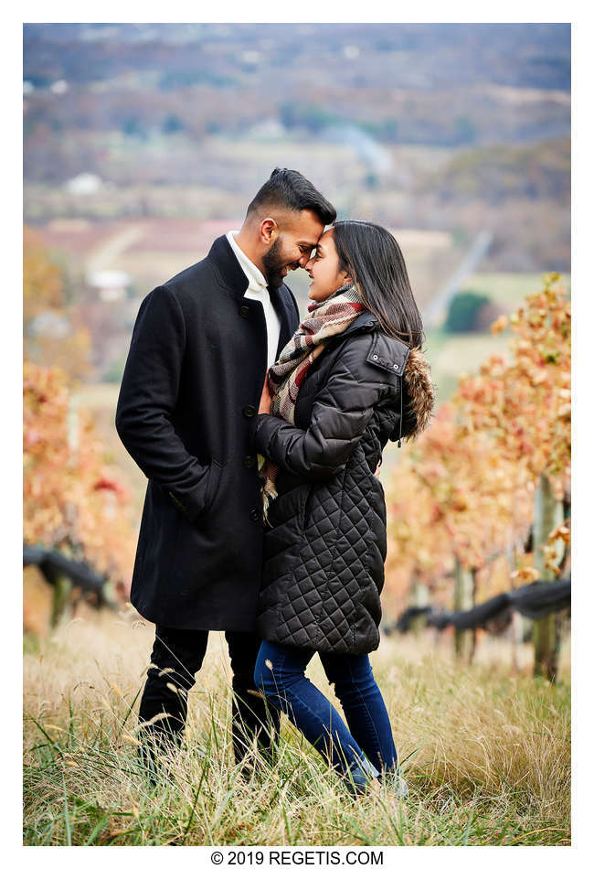  Ami and Parth Engagement Proposal at Bluemont Vineyard, Virginia | Engagement Photographers