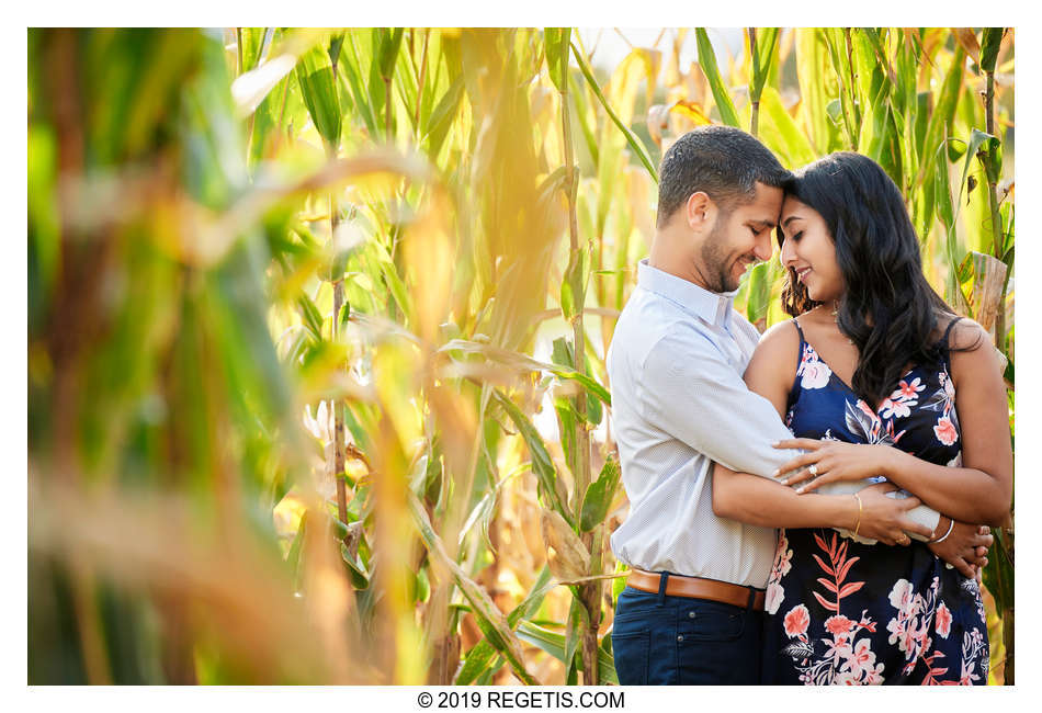  Namrata and Ashvin’s Engagement Photos at Hartland Orchards, Virginia