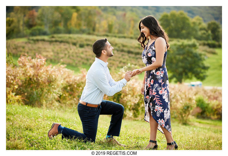  Namrata and Ashvin’s Engagement Photos at Hartland Orchards, Virginia