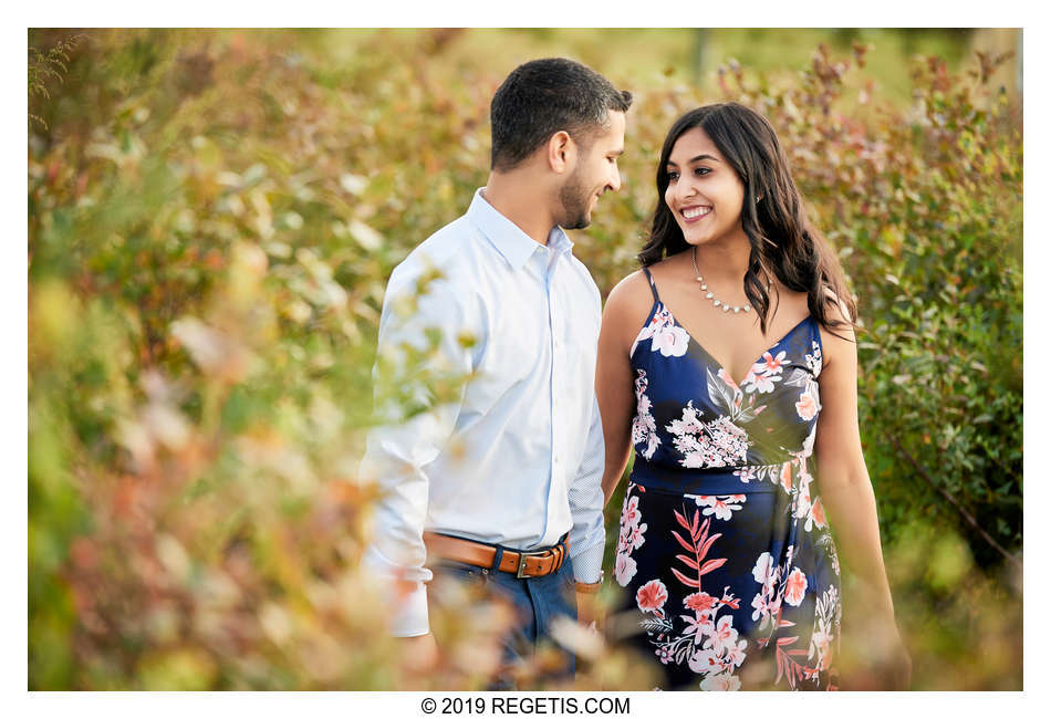  Namrata and Ashvin’s Engagement Photos at Hartland Orchards, Virginia