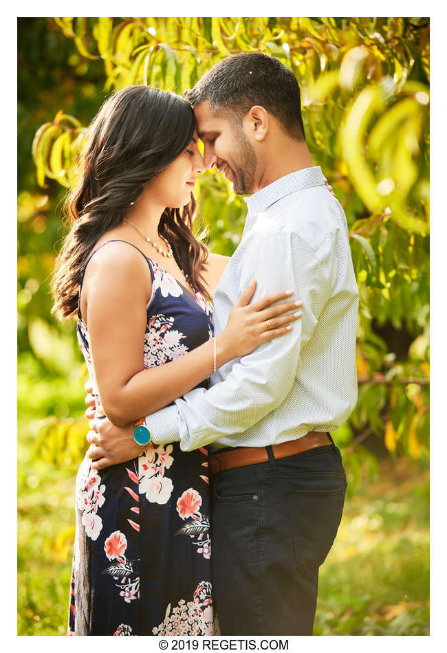  Namrata and Ashvin’s Engagement Photos at Hartland Orchards, Virginia