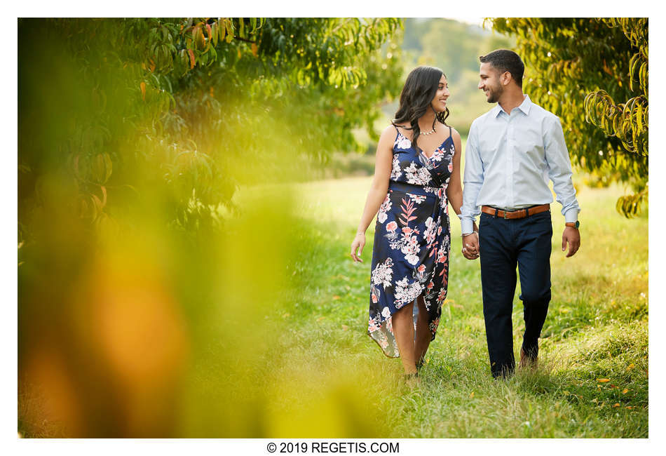  Namrata and Ashvin’s Engagement Photos at Hartland Orchards, Virginia