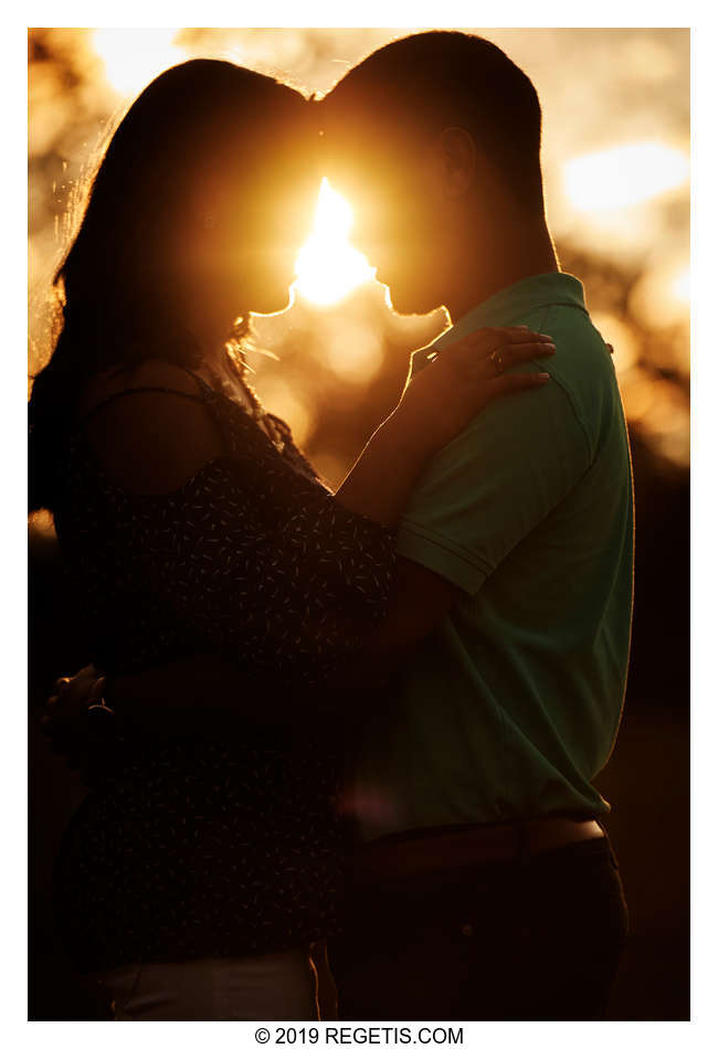  Namrata and Ashvin’s Engagement Photos at Hartland Orchards, Virginia