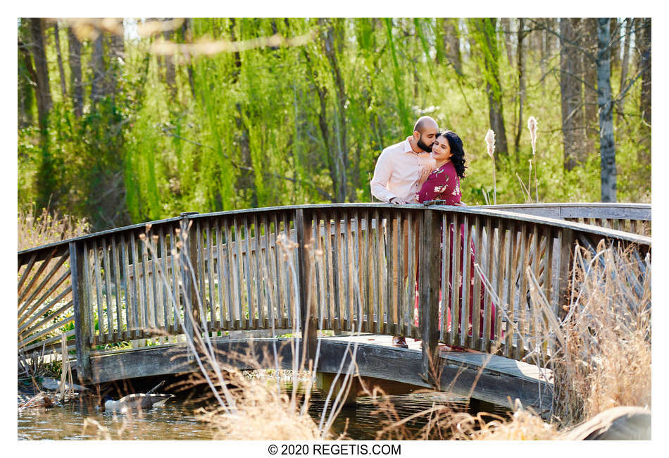  Nina and Manoj - Engagement Session at Meadowlark Botanical Gardens Vienna Virginia 