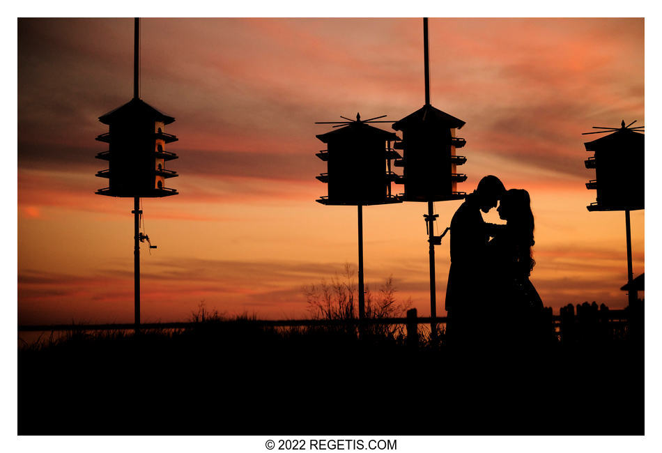 Kavya and Anuj’s Telugu Wedding in Virginia