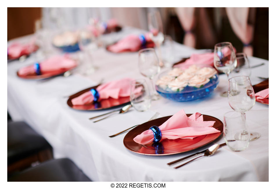  Stacey and Mehal - MicroWedding at 50 West Vinyards, Middleburg, Virginia