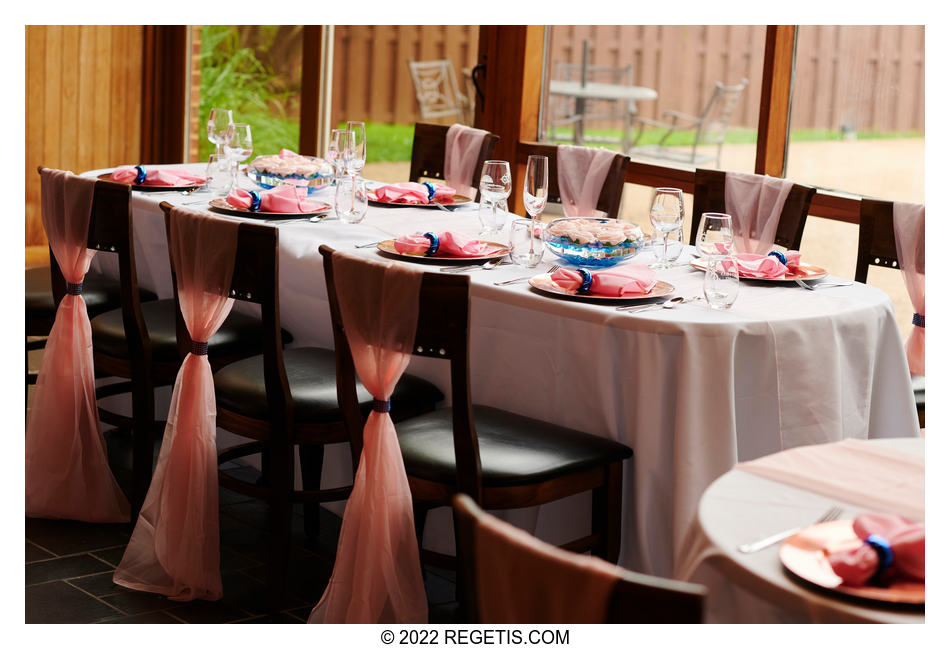  Stacey and Mehal - MicroWedding at 50 West Vinyards, Middleburg, Virginia