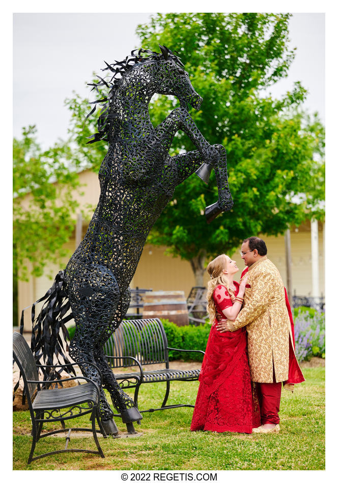  Stacey and Mehal - MicroWedding at 50 West Vinyards, Middleburg, Virginia