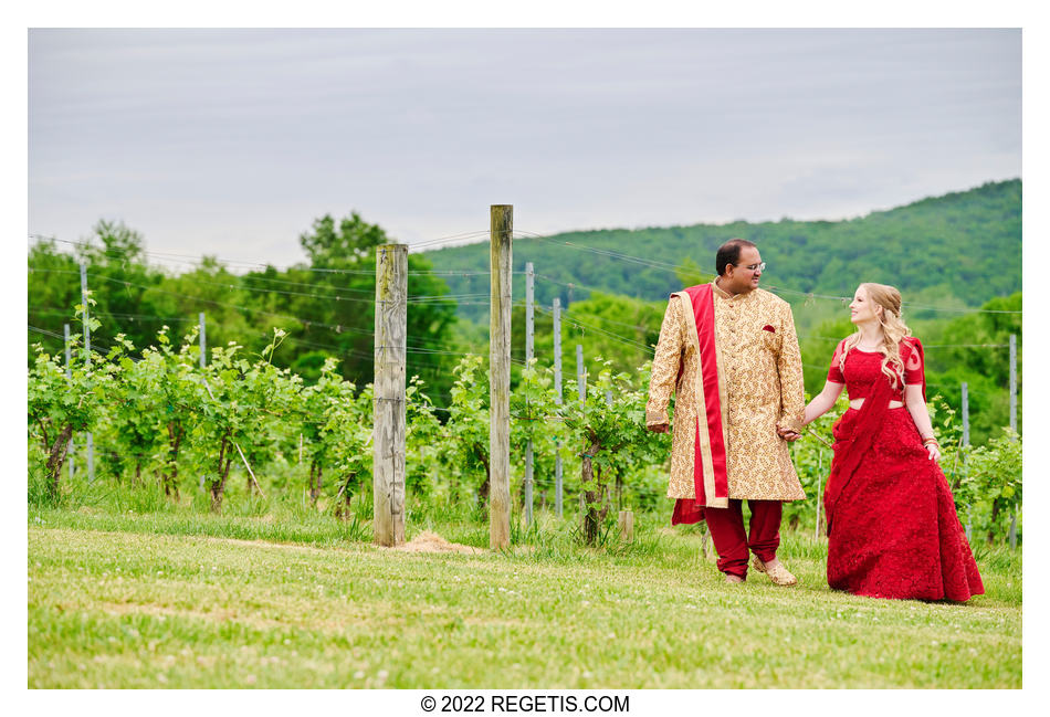  Stacey and Mehal - MicroWedding at 50 West Vinyards, Middleburg, Virginia