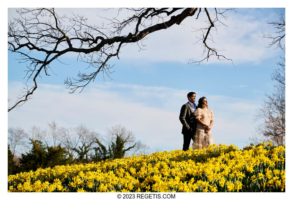 Anjali and Manish Finding Rustic Romance in the Fields of Charlottesville