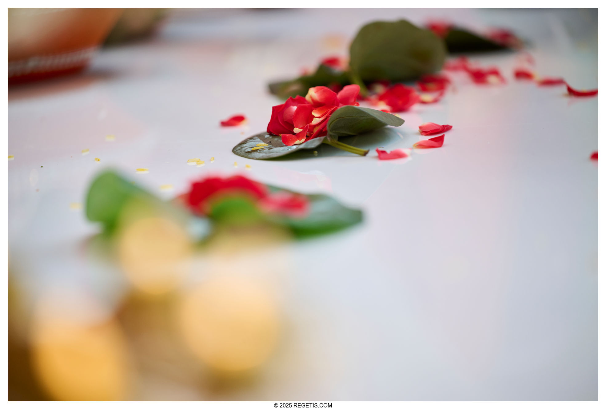Srikar and Tara -  A Beautiful Hindu Wedding at the Falls Church Marriott Fairview Park