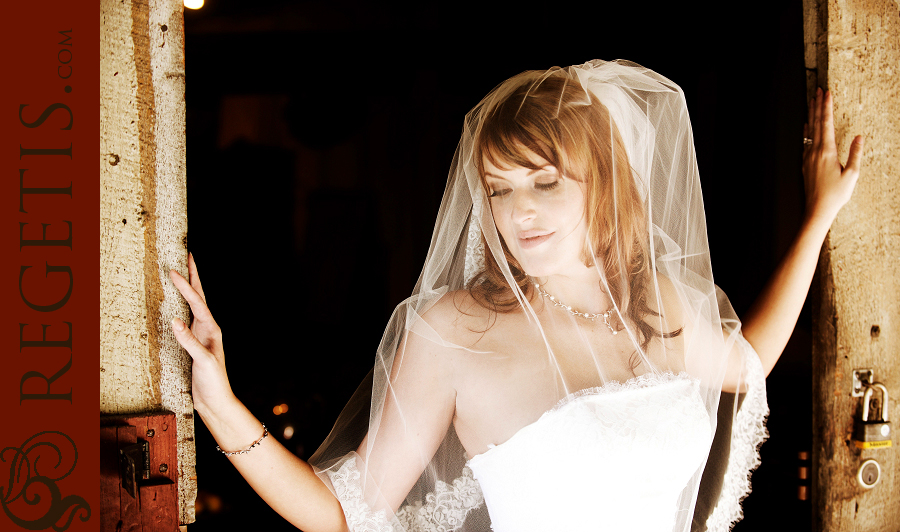 Trash the Dress Day After Session in Dc/Virginia/Maryland