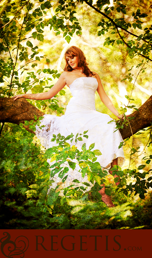 Trash the Dress Day After Session in Dc/Virginia/Maryland