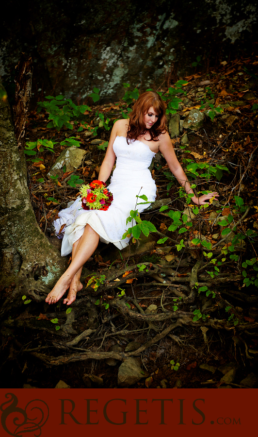 Trash the Dress Day After Session in Dc/Virginia/Maryland