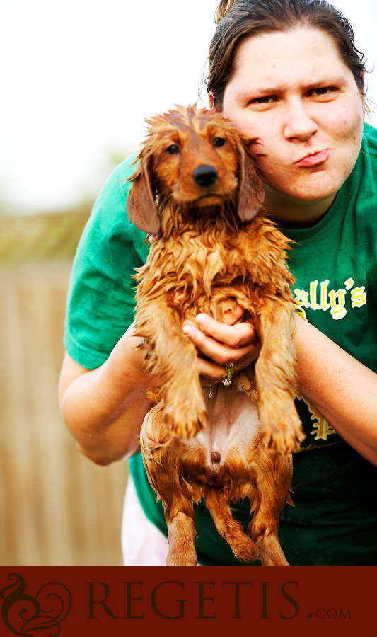 Wedding at Old Hickory Golf Club and Trash the Dress in the Water and our Golden Retriever