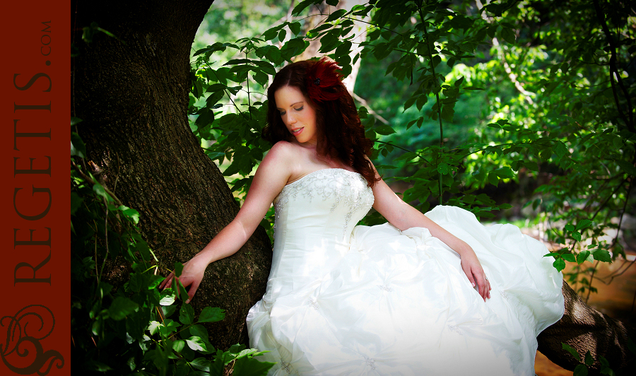 Wedding at Old Hickory Golf Club and Trash the Dress in the Water and our Golden Retriever