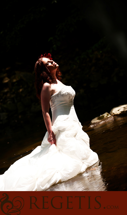 Wedding at Old Hickory Golf Club and Trash the Dress in the Water and our Golden Retriever