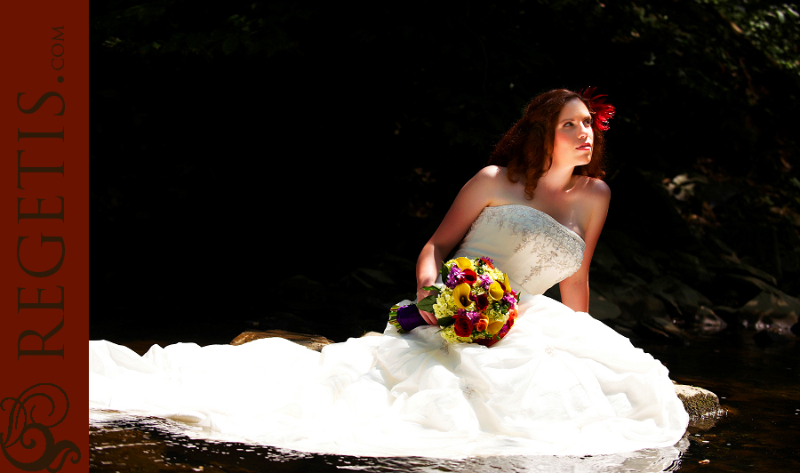 Wedding at Old Hickory Golf Club and Trash the Dress in the Water and our Golden Retriever