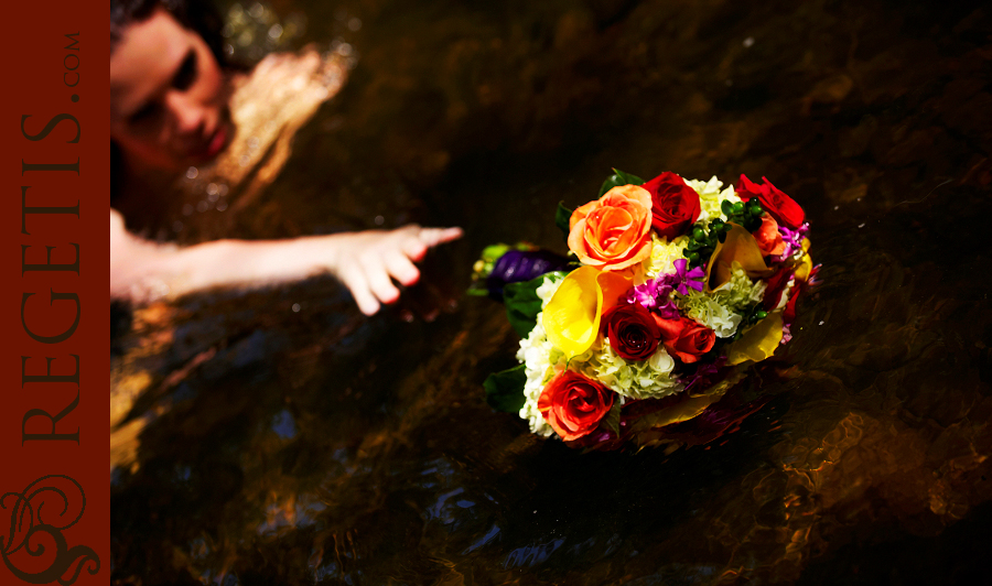 Wedding at Old Hickory Golf Club and Trash the Dress in the Water and our Golden Retriever