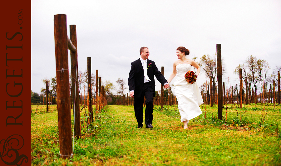 Wedding at Stone Manor Middletown Maryland