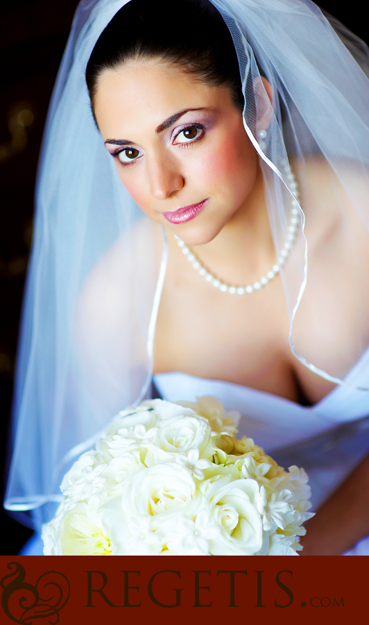 Jewish Wedding at Ritz Carlton in Tyson's Corner, Virginia, Washington DC