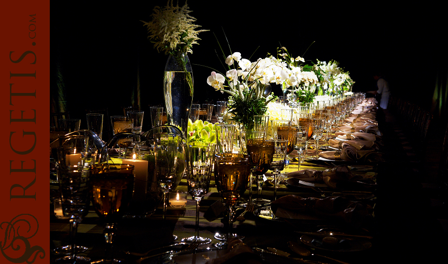 Dinner at Ritz Carlton in Washington DC with Eric Ripert, Sandi Hoffman, Bonnie Schwartz, Laura Weatherly, Elizabeth Bailey, Andre Wells, Rave Reviews, Creative Parties