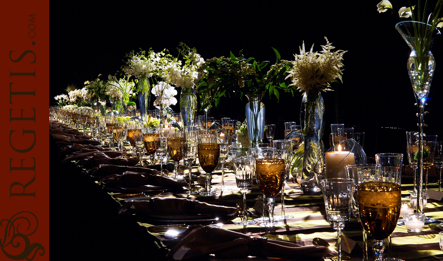 Dinner at Ritz Carlton in Washington DC with Eric Ripert, Sandi Hoffman, Bonnie Schwartz, Laura Weatherly, Elizabeth Bailey, Andre Wells, Rave Reviews, Creative Parties