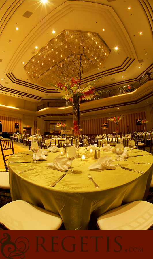 South Asian Muslim Wedding at Sheraton Premier in Tyson's Corner