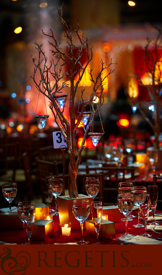 South Asian Indian Wedding at The National Building Museum in Washington DC