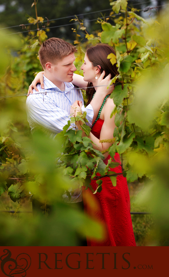 Wedding at Decatur House Museum and Rehearsal Dinner at Hillsborough Vineyards