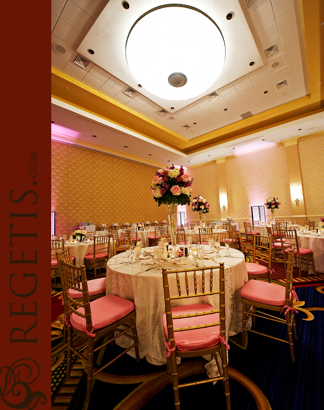 Charles and Diana's Wedding and Reception at Waterfront Marriott, Baltimore, Maryland