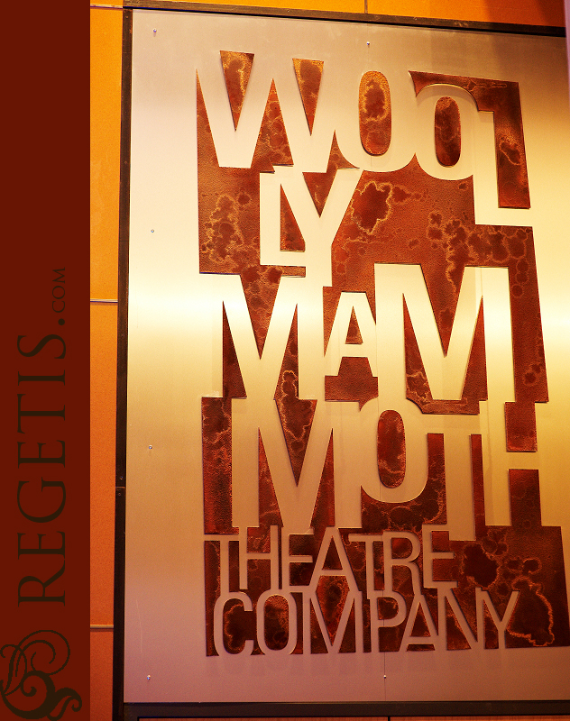 Woolly Mammoth Theater Company Openhouse, Washington DC