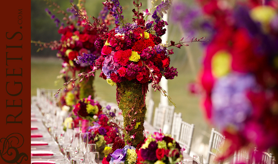 Shannon and W's Wedding at Morven Park, Leesburg, Virginia