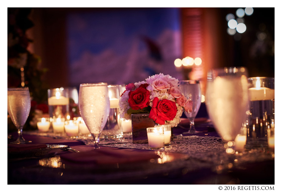 Garima, Nimesh, South Asian Wedding, Hyatt Regency, Cambridge, Maryland