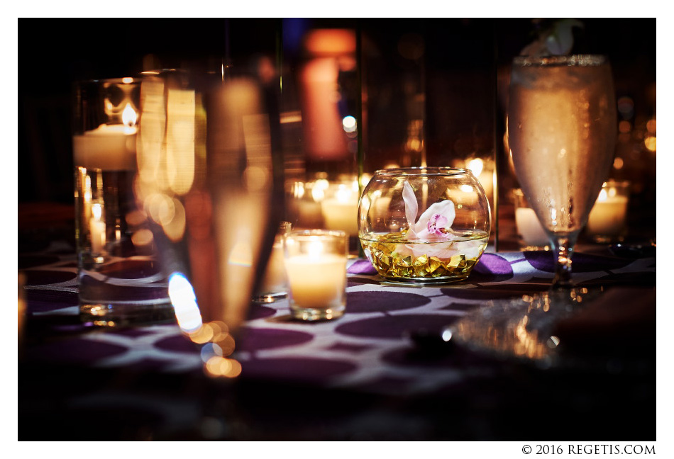 Garima, Nimesh, South Asian Wedding, Hyatt Regency, Cambridge, Maryland