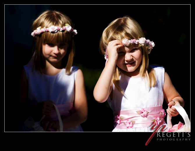 Wedding at Ceresville Mansion Fredrick Maryland