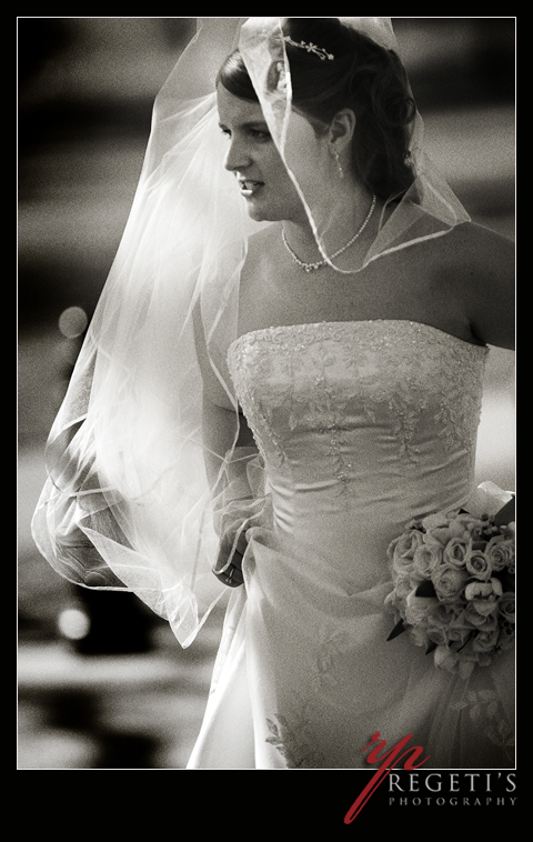 Joe and Carrie's Wedding at Ft. McNair by Regeti's Photography