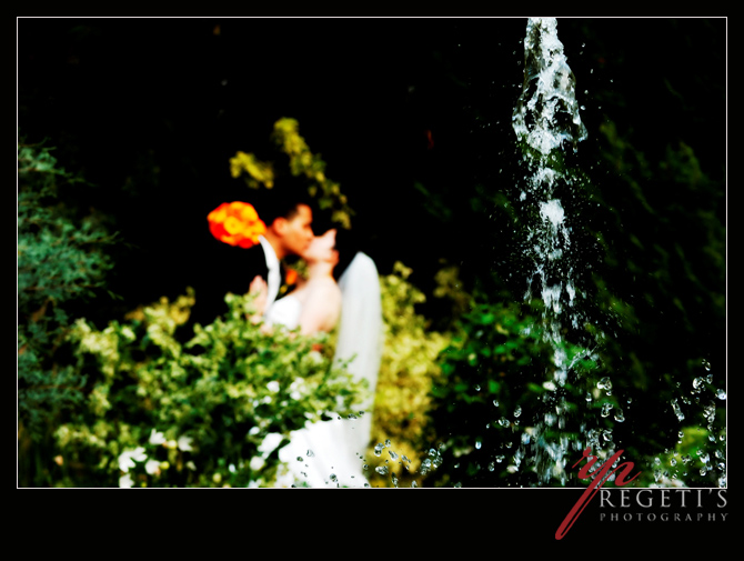 Wedding at Meadowlark Gardens Vienna Virginia