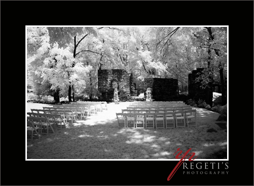 Infrared Image with Nikon D70